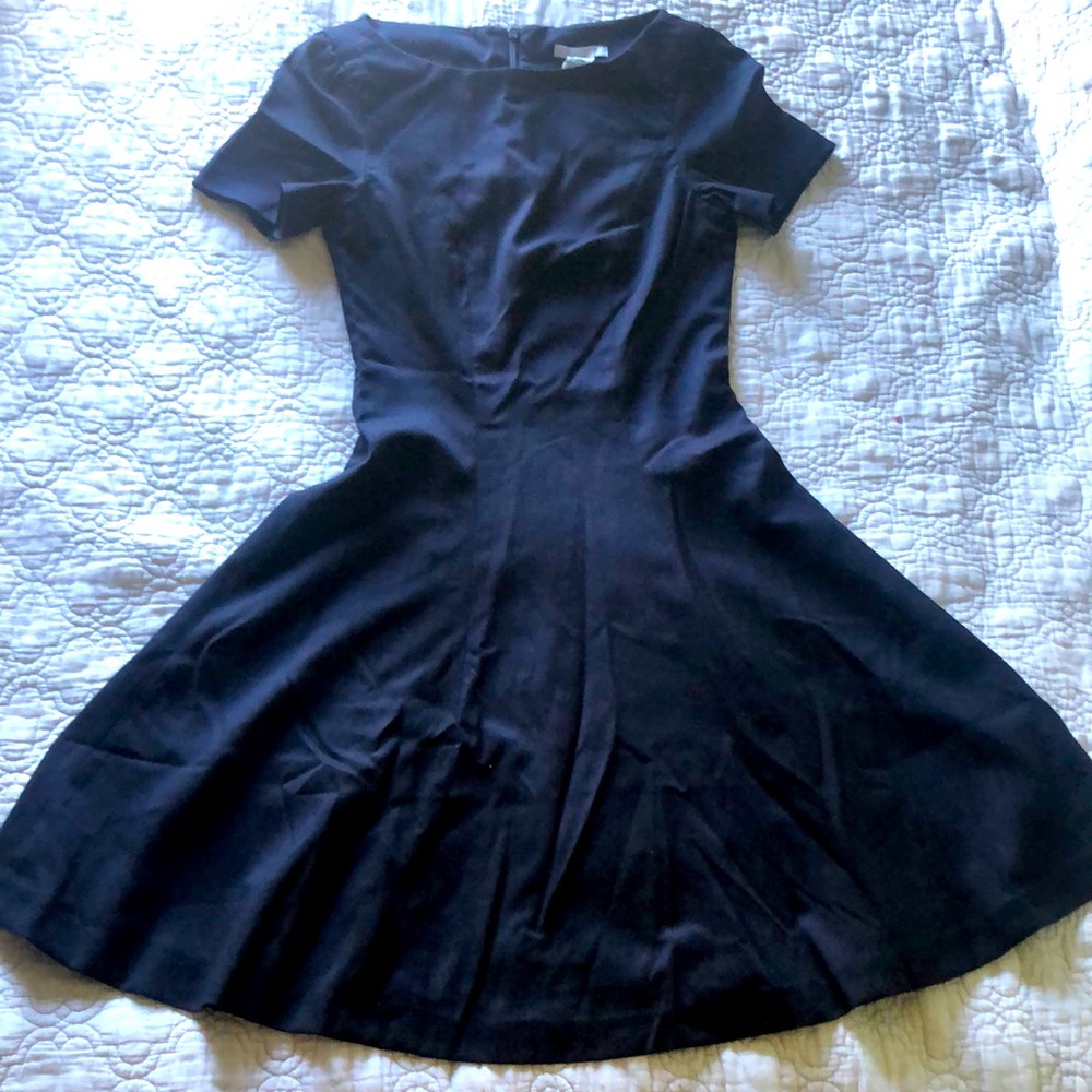 H&M Skater Dress